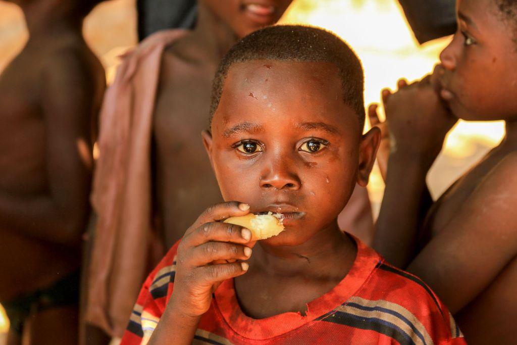 zaadoptuj na odległość