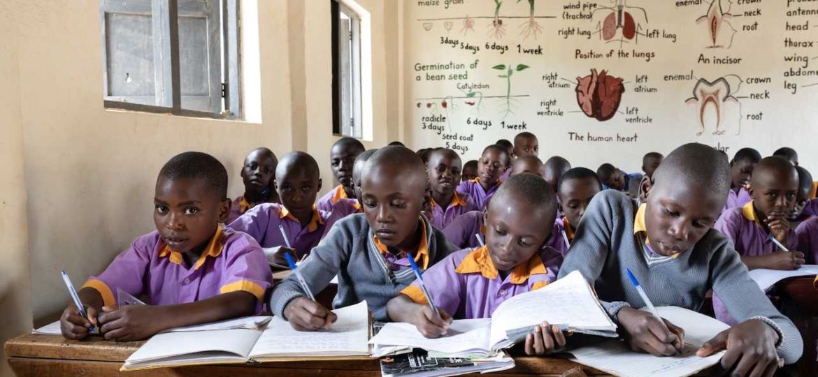 DSC_1914-Poprawione-NR